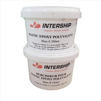 MASTIC EPOXY POLYVALENT 750ML