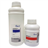 RESINE EPOXY GURIT AMPRO + DURCISSEUR LENT KIT 2,6KG